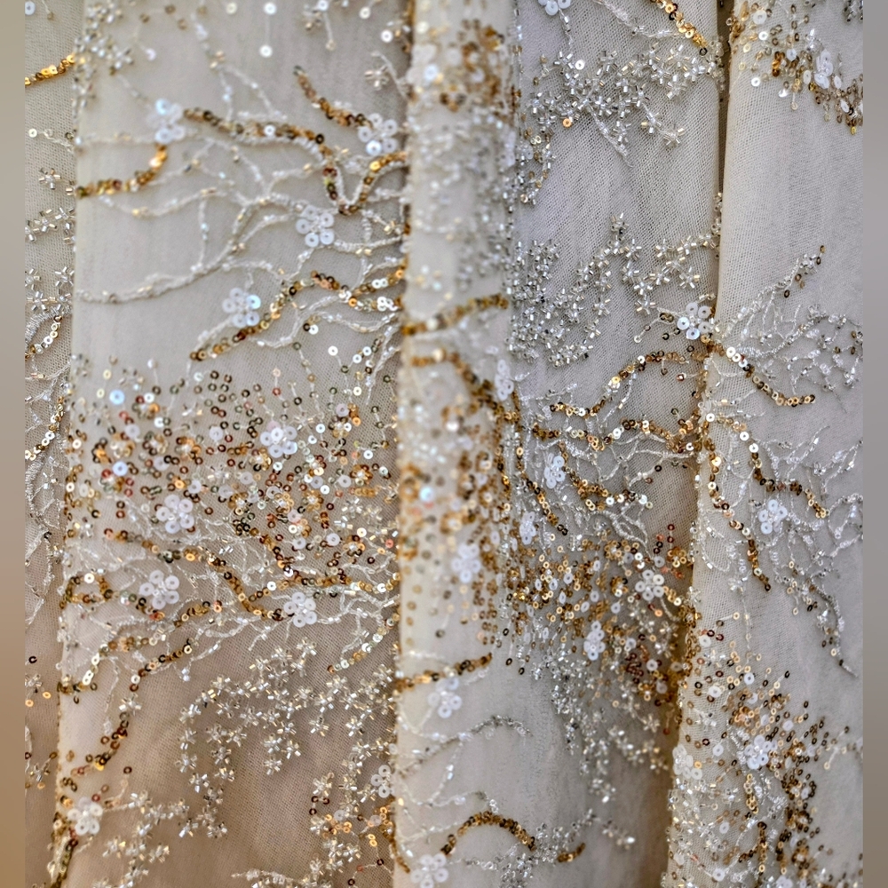 Tony Ward Couture Champagne Beaded Gown Formal Evening Dress Size L MSRP $10,000 - Picture 14 of 16